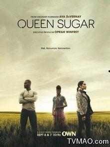 蔗糖女王 第一季,甜蜜逆袭之路