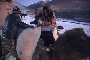 冰封下的呼唤,探寻冬日里的温暖故事