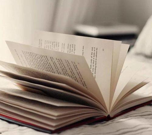 生活本该如此,探寻和谐美好的生活之道